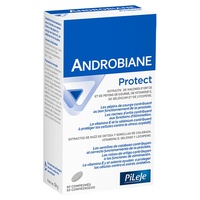 Androbiane