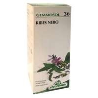 Gemmosol 36 Grosella Negra 100 ml - Specchiasol | Natural Doctor