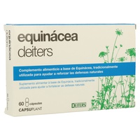 echinacea