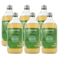 Pack de kombucha Original Té Verde Bio