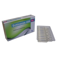Échinacée 400 plus