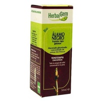 Álamo Negro Macerado Glicerinado 50 ml - Herbalgem | Natural Doctor