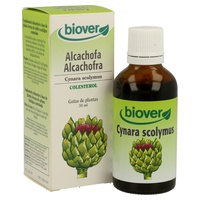 Cynara Scolymus (Kärtskocka) Bio