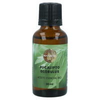 Huile Essentielle d'Eucalyptus Globulus Bio