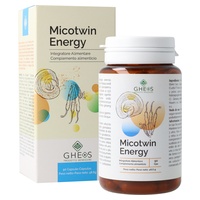 Micotwin Energy