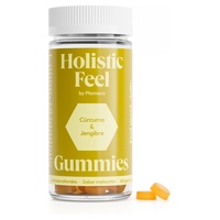 Holistic feel bienestar