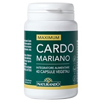 Maximum ostropestřec mariánský