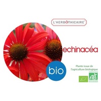 Echinacéa 180 cápsulas de 210mg - L'Herbothicaire | Natural Doctor