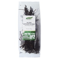 Bio Sea Spaghetti Alger