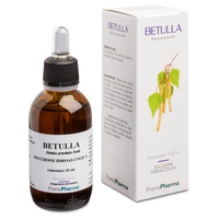 Savia de abedul Derivados de las yemas 50 ml - PromoPharma | Natural Doctor