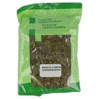 Spearmint Common Mint