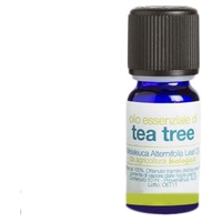 Ekologisk tea tree eterisk olja