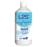 L2s