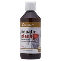 Hepatický plann