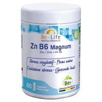 Zn b6 magnum oxidační stres