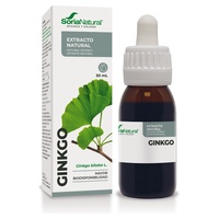 Extrakt z ginkgo biloba formula xxi