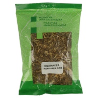 Echinacea Purpurea krossad rot