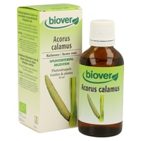 Acorus Calamus (Calamo) Tm