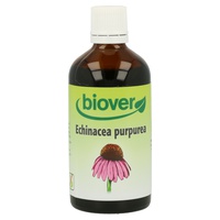 Echinacea Purpurea (Echinacea)