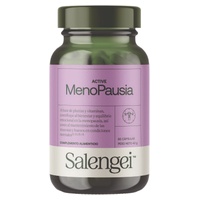 Aktivní menopauza