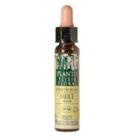 Sauce N° 38 Eco (Sin Alcohol) 10 ml de elixir floral - Plantis | Natural Doctor