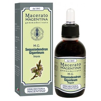 Sequoiadendron giganteum (sequoia) 1 L - Erboristeria Magentina | Natural Doctor