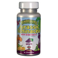 Jurassic Echinacea