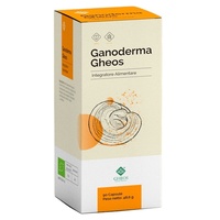 Ganoderma gheos immunrendszer