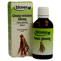 Ekologisk Panax Ginseng