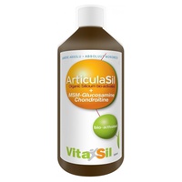 Vitasil Articulasil Msm