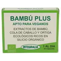 Bamboo Plus