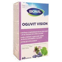 Oguvit vision