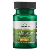 Support intestinal de L. Plantarum