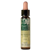 Madreselva N° 16 Eco (Sin Alcohol) 10 ml de elixir floral - Plantis | Natural Doctor