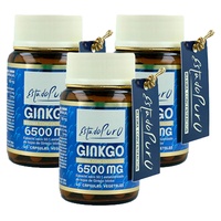 Balíček ginkgo 6500 mg