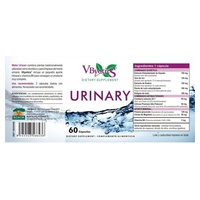 Urinary 60 cápsulas Vbyotics | Natural Doctor
