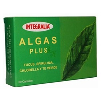 Alger Plus