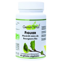 Brote de higuera - Gemoterapia 60 cápsulas vegetales - Vitall + | Natural Doctor