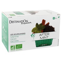 Infusión gourmet menta 20 bolsitas infusoras - Destination Bio | Natural Doctor