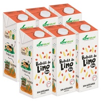 Pack Bebida de Lino Bio