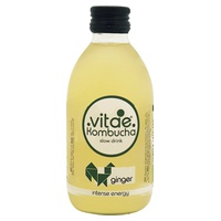 Ginger Kombucha 250 ml - Vitae Kombucha