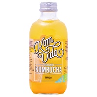 Eco Manga Kombuchá 250 ml - Komvida
