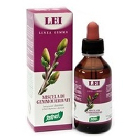 Zefirus Lei 100 ml - Santiveri | Natural Doctor