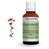 Oregano chemotypisiertes ätherisches Öl mit kompakten Blütenständen - blühende Spitze