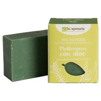 Medelhavet med aloe