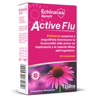Echinacea fast