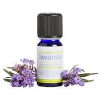 Ekologisk lavendel eterisk olja
