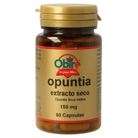 Opuntia