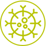 Sistema inmune