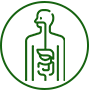 Aparato gastrointestinal